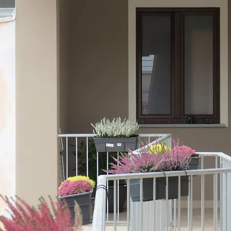 Cristallo 게스트하우스